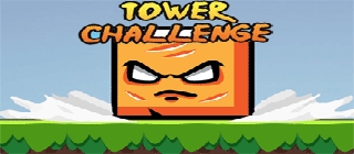 Tower Challenge